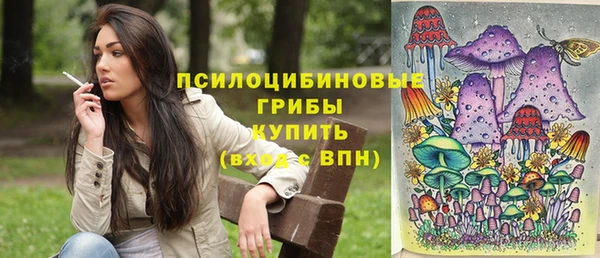 гидропоника Алексеевка