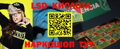 шишки Бердск