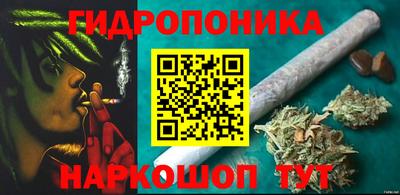 шишки Бердск
