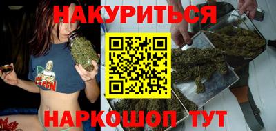 шишки Бердск