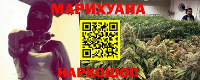 шишки Бердск
