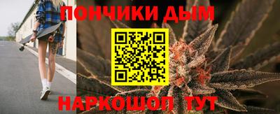 шишки Бердск