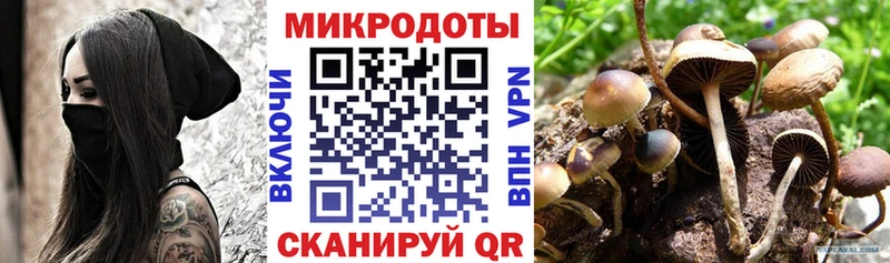 Галлюциногенные грибы Cubensis Амурск