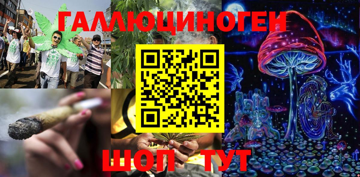 Псилоцибиновые грибы Psilocybine cubensis Амурск